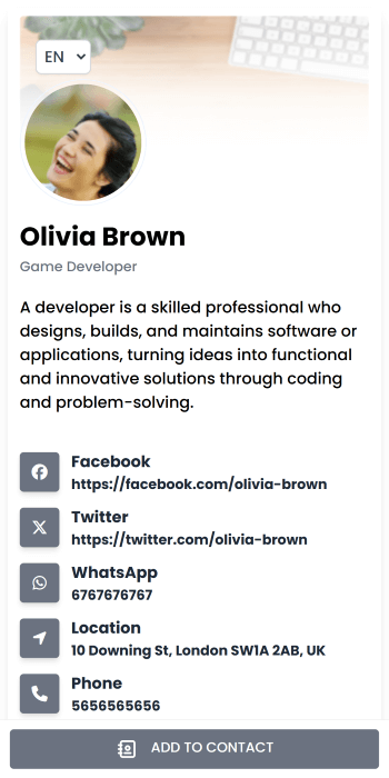 Retro Gray theme preview